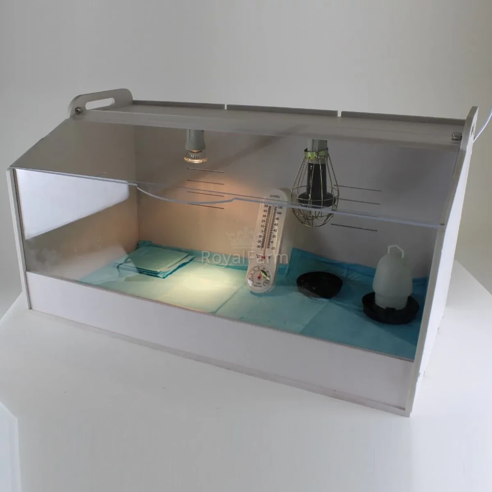 Csibenevelő - Nagy méretű