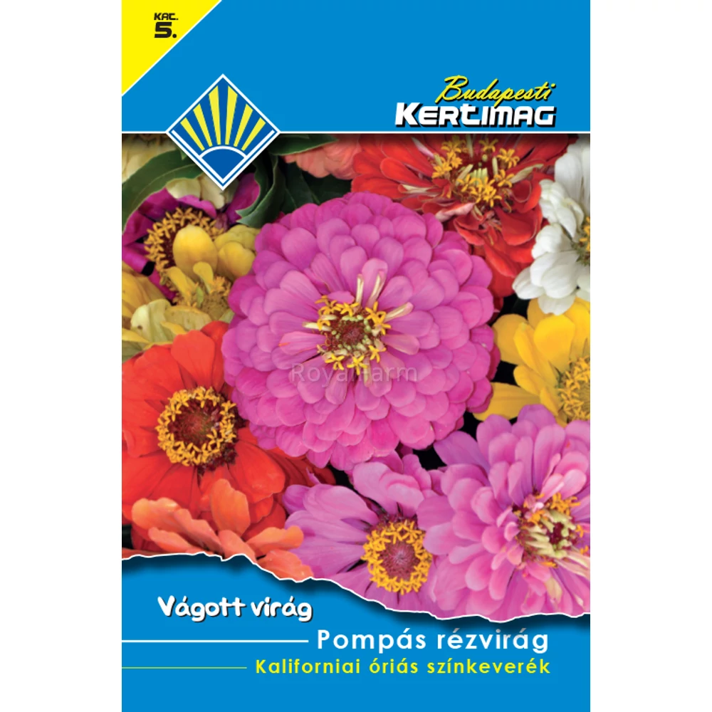 Pompás rézvirág - kaliforniai