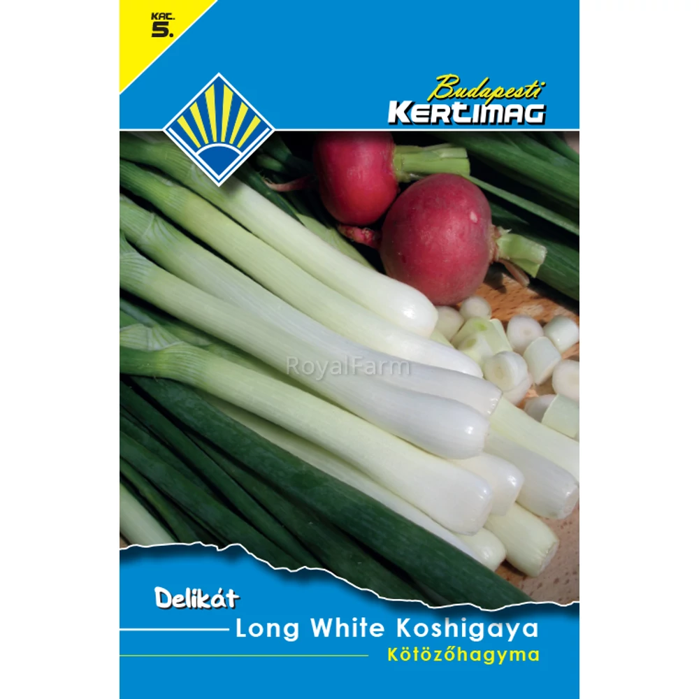Long White Koshigaya kötözőhagyma
