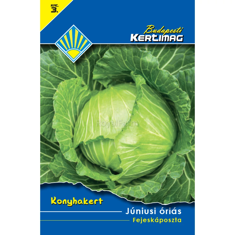 Júniusi óriás - Fejeskáposzta