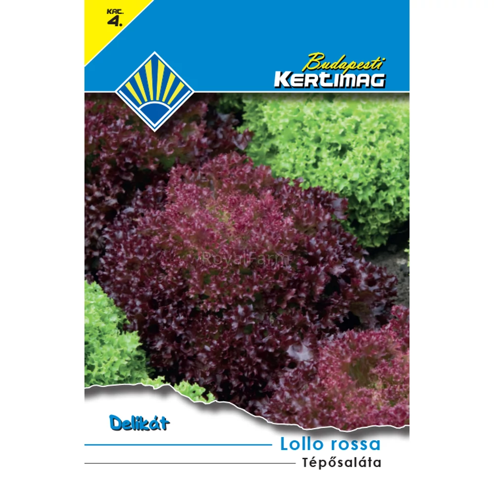 Lollo rossa