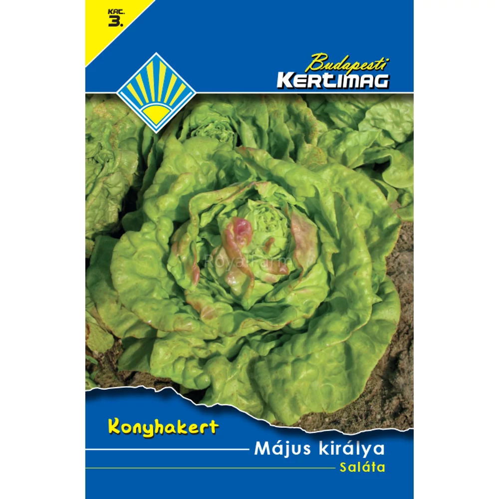 Május királya saláta