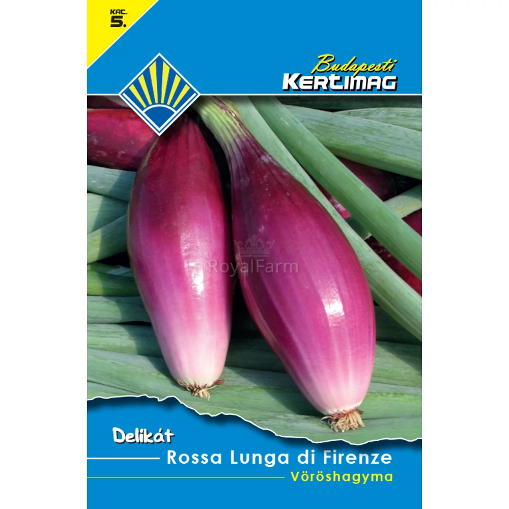 Rossa Lunga di Firenze lilahagyma