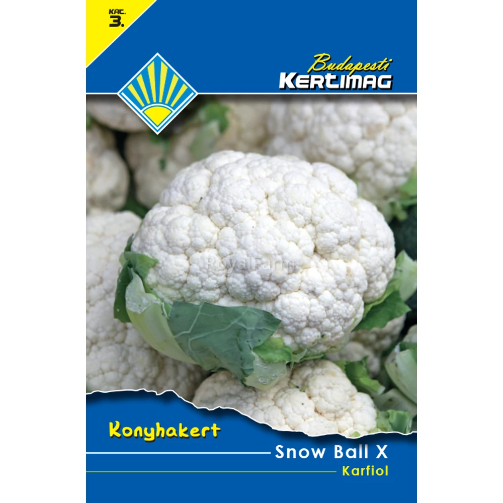 Snow Ball X