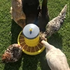 Baromfi önetető 15 kg, sárga pazarlásgátlóval