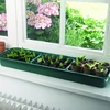 RAPID GROW WINDOW 66x18x9cm