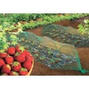 BIRDNET HDPE extrudált madárháló, rombusz szemformájú 4x100