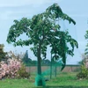 BIRDNET HDPE extrudált madárháló, rombusz szemformájú 4x100