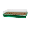 GROWING KIT mini üvegház szett