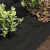 GEOTEXTIL 200 g/m2