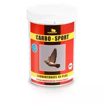 CARBO-SPORT 400g