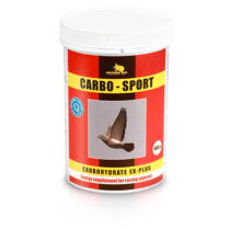 CARBO-SPORT 400g