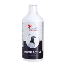 MOOR ACTIVE 1000ml