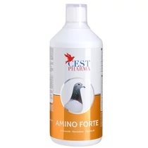 Amino forte 1000ml