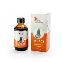 IMPACT 100ml