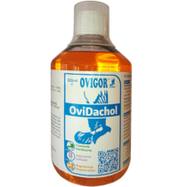 OviDachol 500 ml