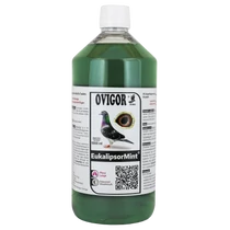 Eukalipsor Mint 1000ml - egészséges légzőrendszer