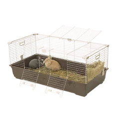 Nyúlketrec Nyúlketrec