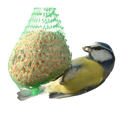 Téli madáretetés és kiegészítői Téli madáretetés és kiegészítői