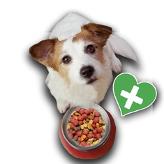 Táplálékkiegészítők