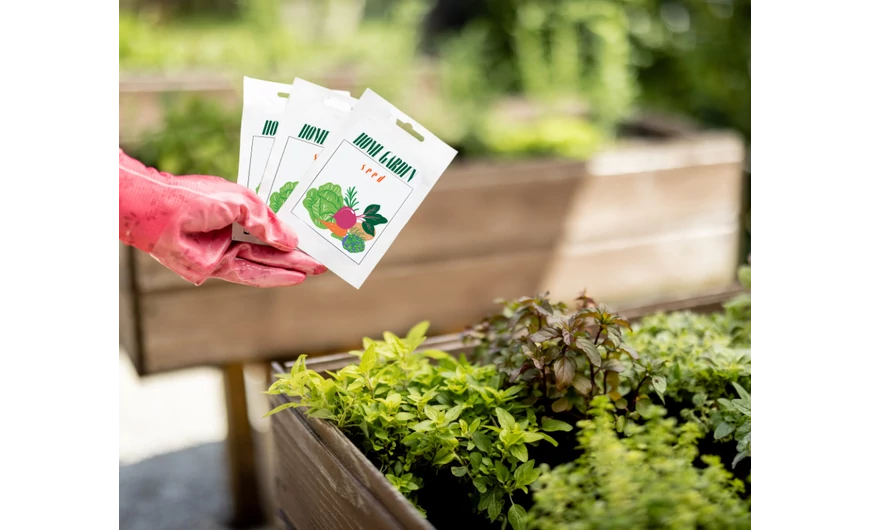 Hogyan válassz jó vetőmagot?