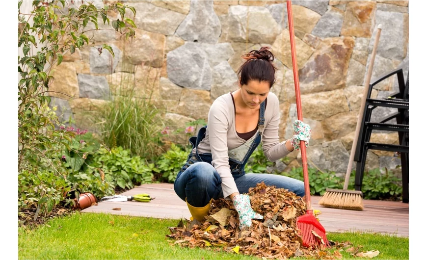 Kertünk gondozása az őszi időszakban