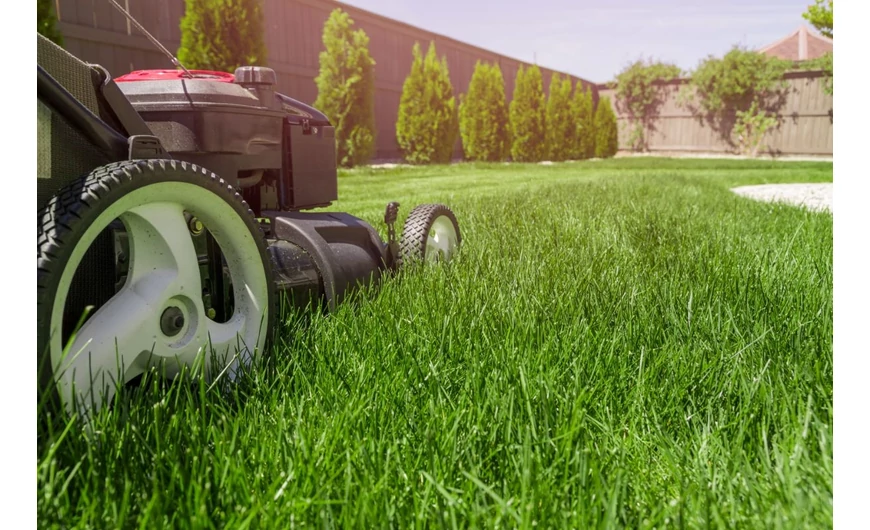 Hecht termékekkel kertünk szépüléséért