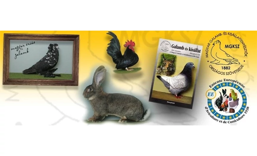 Újra Monori kisállatbörze! 2020.08.16.