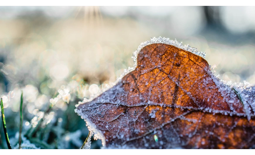 Védekezzünk a tél ellen!
