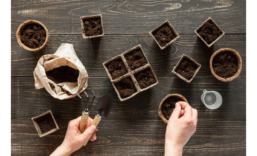 Készülődés a tavaszi magvetésre: Tippek és trükkök
